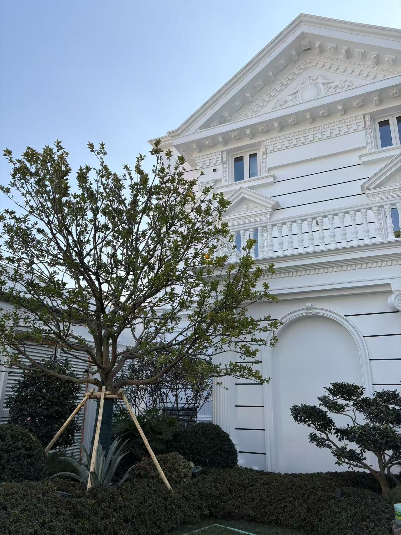 上海虹許路歐式別墅紗窗項(xiàng)目落地-韋柏網(wǎng)業(yè)